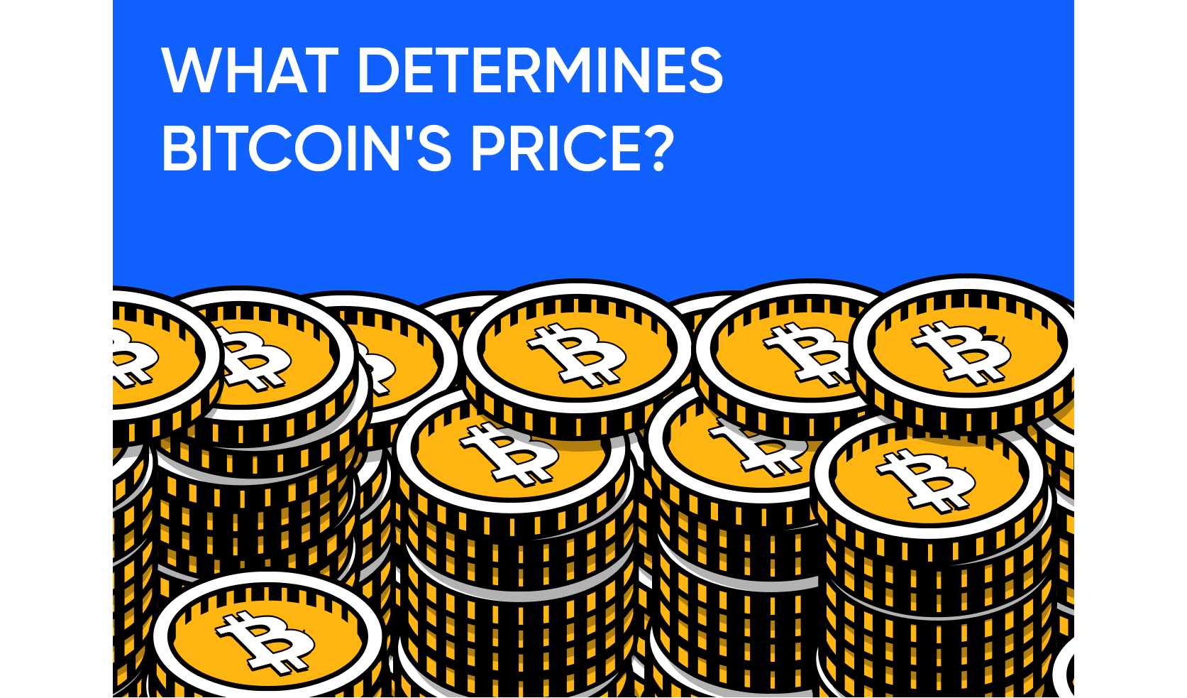 What Determines the Value of Bitcoin?