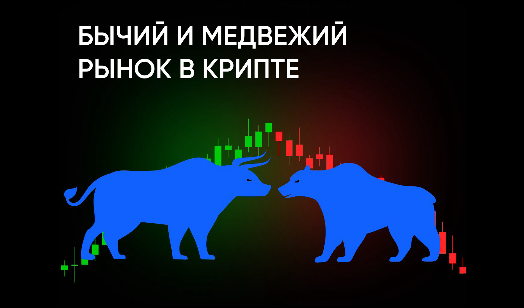 Что такое бычий и медвежий рынок в криптовалюте: полное руководство для новичков