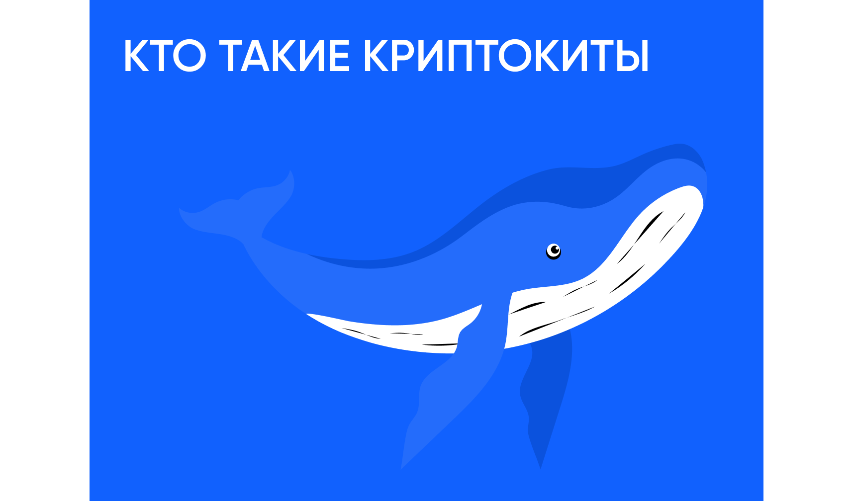 Кто такие криптокиты и как их сделки двигают рынок